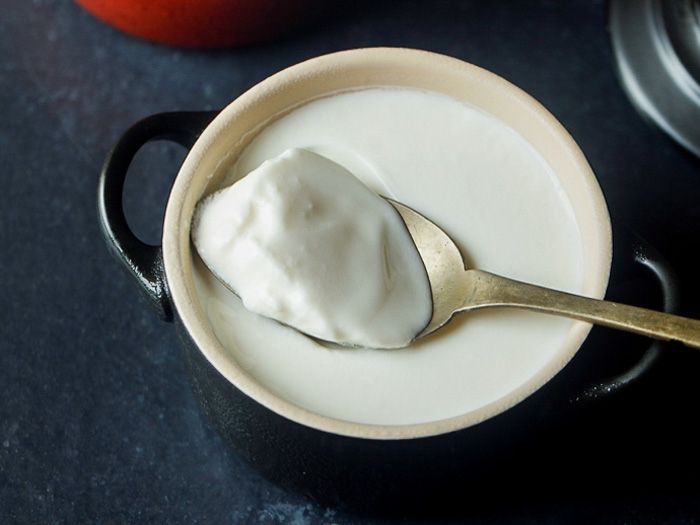 Homemade Plain Yogurt at SPICE ROOM Denver